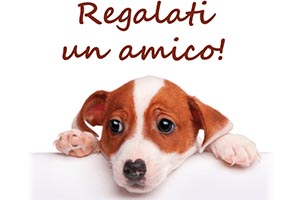 Adotta un cane